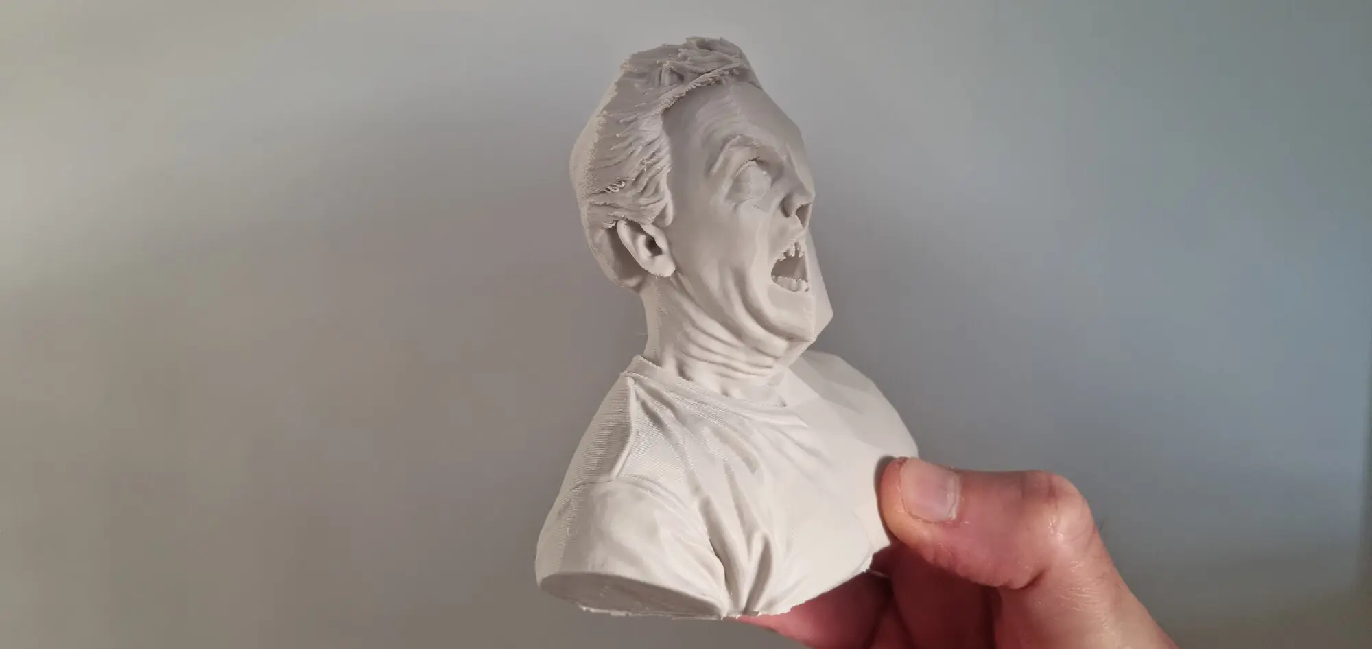 Print of a "Low Poly" version of me