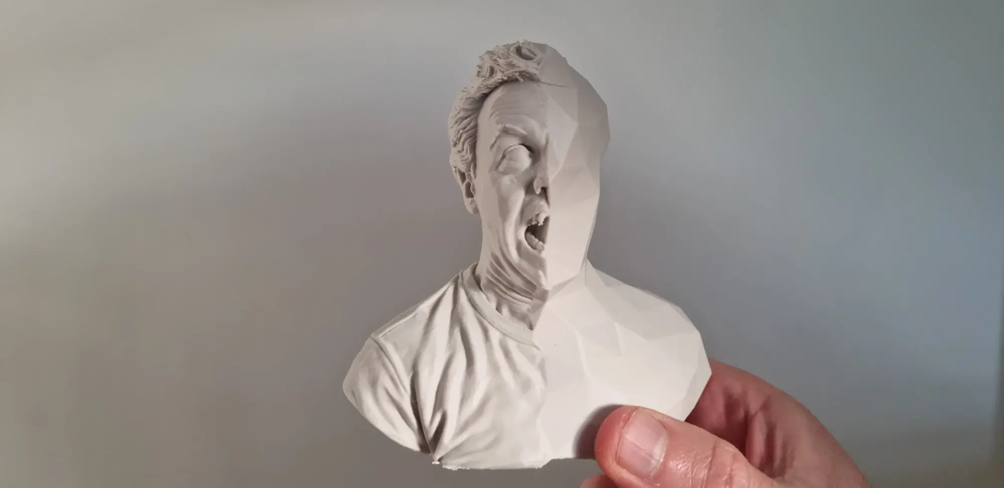 Print of a "Low Poly" version of me
