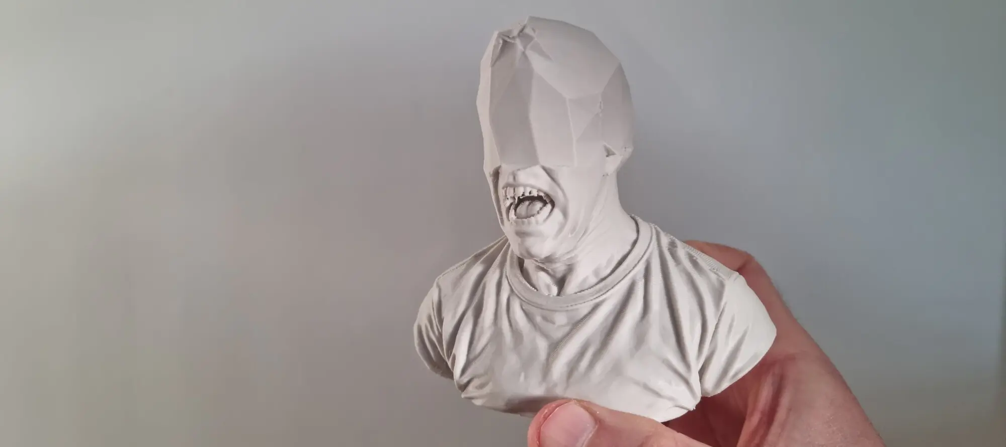 Print of a "Low Poly" version of me