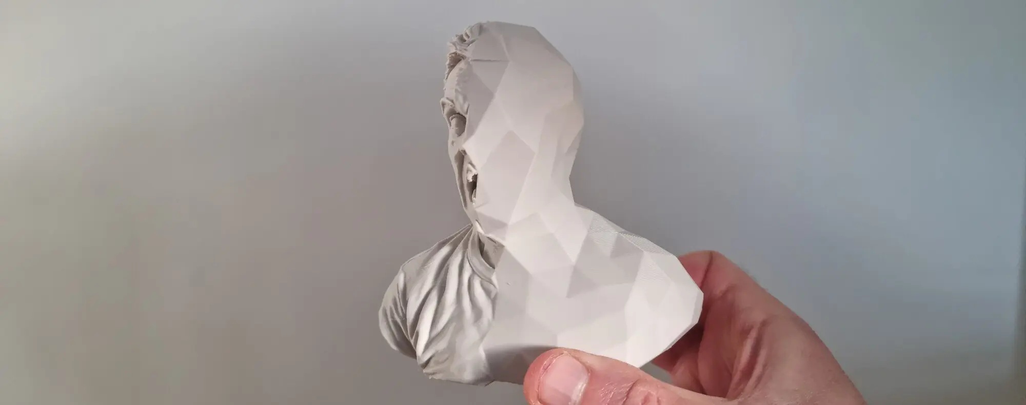 Print of a "Low Poly" version of me